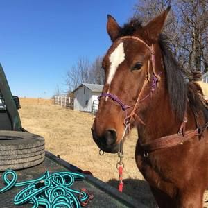 Meet your Posher, Kristen